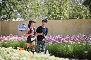 BIB: 
                            <button type="button" onclick="openModal(27795800)" class="btn btn-primary btn-sm float-right btn-popup" data-toggle="modal" data-target=".modal-high-quality">
                        <i class="fas fa-shopping-cart"></i> Add to Cart
                    </button>
                                            <button type="button" onclick="isThisMe(27795800, true)" class="btn btn-success btn-sm float-right btn-popup btn-isme hidden" data-toggle="tooltip" data-placement="bottom" title="นี่คือรูปของคุณใช่ไหม คลิกที่นี่เพื่อเอาเข้าอัลบั้ม">
                        <i class="fas fa-plus"></i> Add to album
                    </button>
                    <button type="button" onclick="isThisMe(27795800, false)" class="btn btn-warning btn-sm float-right btn-popup btn-isnotme hidden">
                        <i class="fas fa-ban"></i> Remove from album
                    </button>